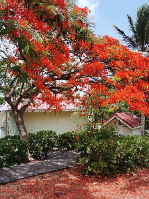 Appart T3 Village Vacances Sainte-Anne Courcelles المظهر الخارجي الصورة